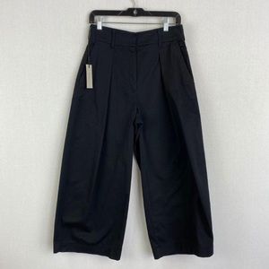 NWT Aritzia pleated wide leg pants